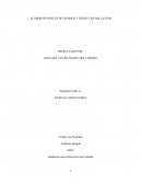 ELABORAR PAPELES DE TRABAJO Y REDACTAR HALLAZGOS