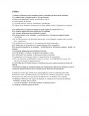 Estadistica 2 TEORIA PARCIAL