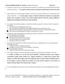 TALLER DE PRIMERAS EPOPEYAS