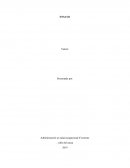 Actividades preventivas y protección aplicables a dichos riesgos