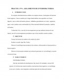 Practica de microbiologia aislamiento de bacterias