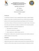 Laboratorio de Química orgánica