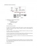 COMPONENTES ARQUITECTURA ORACLE