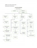 ORGANIGRAMA RECOMENDADO: ESTRUCTURA FUNCIONAL