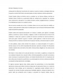 Ensayo de seguridad de la nacion