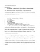 Análisis Google Merchandise Store