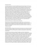 IDENTIDAD PROFESIONAL UNA CORRELACIÓN DE IDENTIDADES