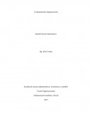 Teorías Organizacionales . Administración marítima y fluvial