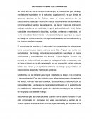 LA PRODUCTIVIDAD Y EL LIDERAZGO