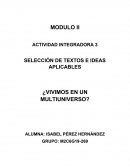 VIVIMOS EN UN MULTIUNIVERSO