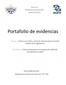 Asiste en el control y evaluación del desempeño del capital humano de la organización