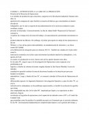 Desarrollo de la Produccion