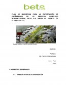 PLAN DE MARKETING PARA LA EXPORTACIÓN DE ESPÁRRAGOS DE LA EMPRESA COMPLEJO AGROINDUSTRIAL BETA S.A. HACIA EL ESTADO DE FLORIDA, EE.UU