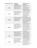 Bioelementos primarios. Principales caracteristicas. Importancia para los seres vivos