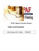 PRACTICA DE ECONOMÍA. ELÁSTICIDADES