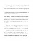 Los Animales acelomados