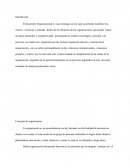 Ensayo Desarrollo Organizacional. Valores y objetivos