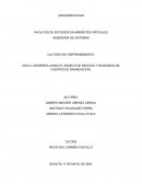 DESARROLLANDO EL MODELO DE NEGOCIO Y BUSQUEDA DE FUENTES DE FINANCIACIÓN