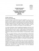 IDENTIDAD Y ESTRATEGIAS DE VIDA CAMPESINA