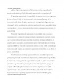 ¿Qué es el aprendizaje organizacional?