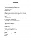 Licor de kiwi SEGMENTO DE CLIENTES