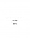 Termodinámica: Temperatura, calor y primera ley de la termodinámica