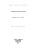 UNIDAD 1-TEMA 2 (Taller) Estadistica