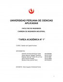 Gestión del Capital Humano . Caso Servir