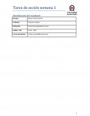 Formato Informe Ejecutivo Caso Ventanas Verdes