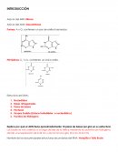 Ensayo: Extracción de ADN