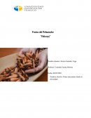 Frutos del Pehuenche “Piñones”