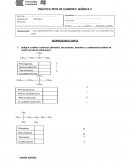 PRÁCTICA TIPOS DE CARBONO: QUÍMICA 2