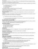 Metabolismo de aminoacidos