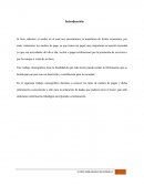 Monografia de Medios de Pago