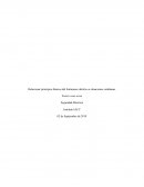 Relacionar principios basicos del fenomeno eléctrico a situaciones cotidianas