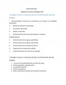 Investiga 5 causas y consecuencias de la contaminación del suelo