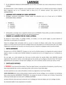 LINEA DE TIEMPO - TEORÍAS PSICOLINGUISTICAS