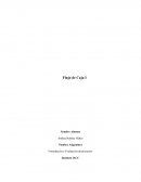 Formulación y Evaluación de proyectos. Flujo de Caja I