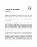 Duolingo y el Retargeting