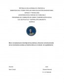 EJE GEOPOLÍTICO “GUERRILLERO MAISANTA”