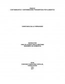 CONTAMINANTES Y ENFERMEDADES TRANSMITIDAS POR ALIMENTOS