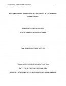 DOCUMENTO SOBRE PROBLEMÁTICAS Y SOLUCIONES DE UNA RAMA DEL PODER PÚBLICO