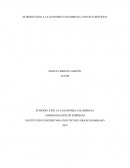 INTRODUCCIÓN A LA ECONOMÍA COLOMBIANA: ENSAYO CIENTÍFICO