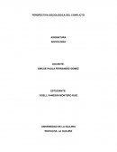 PERSPECTIVA SOCIOLÓGICA DEL CONFLICTO