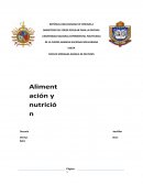 Desnutrición como enfermedad principal