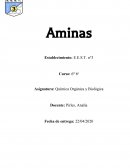 Aminas alifáticas y aromáticas: Comparación de estructura, basicidad y usos industriales
