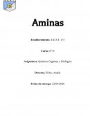 Aminas