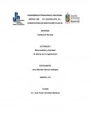 Racionalidad y felicidad: El dilema de la organización