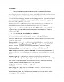 Los Fundamentos de La Dignidad de La persona humana