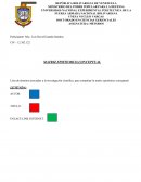 MATRIZ EPISTEMICO-CONCEPTUAL